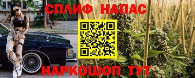 стафф Владивосток