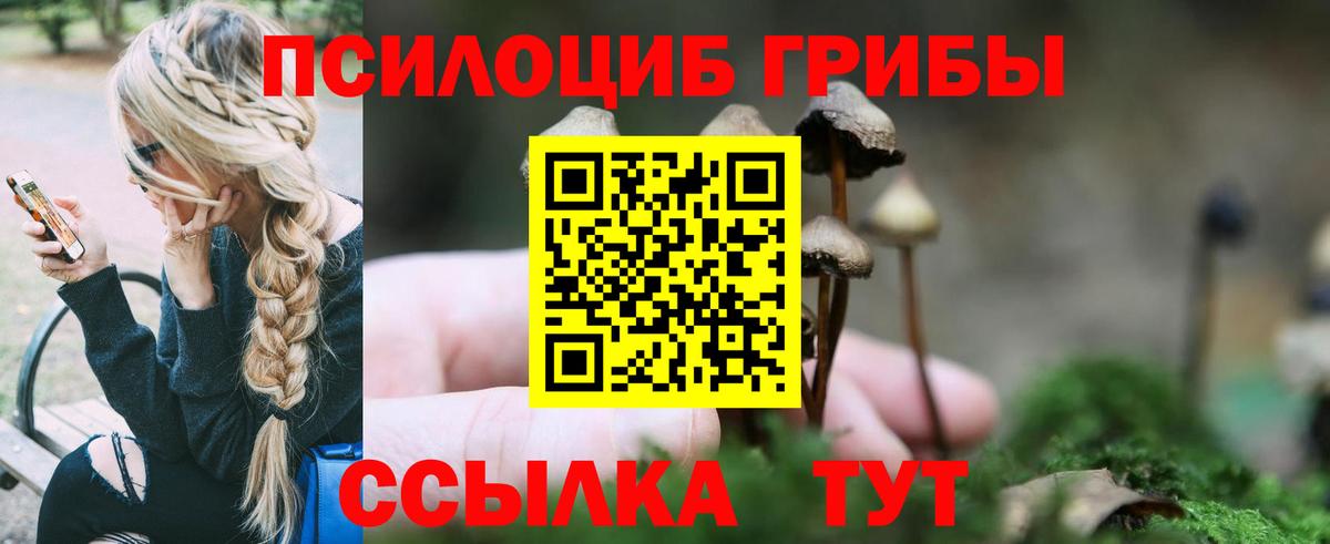 купить наркотики сайты  Псилоцибиновые грибы Cubensis  Вход с VPN  Железногорск  Галлюциногенные грибы Psilocybine cubensis 